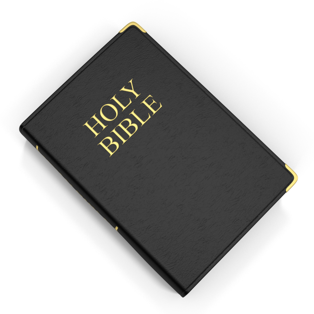 Soft Cover Bible
